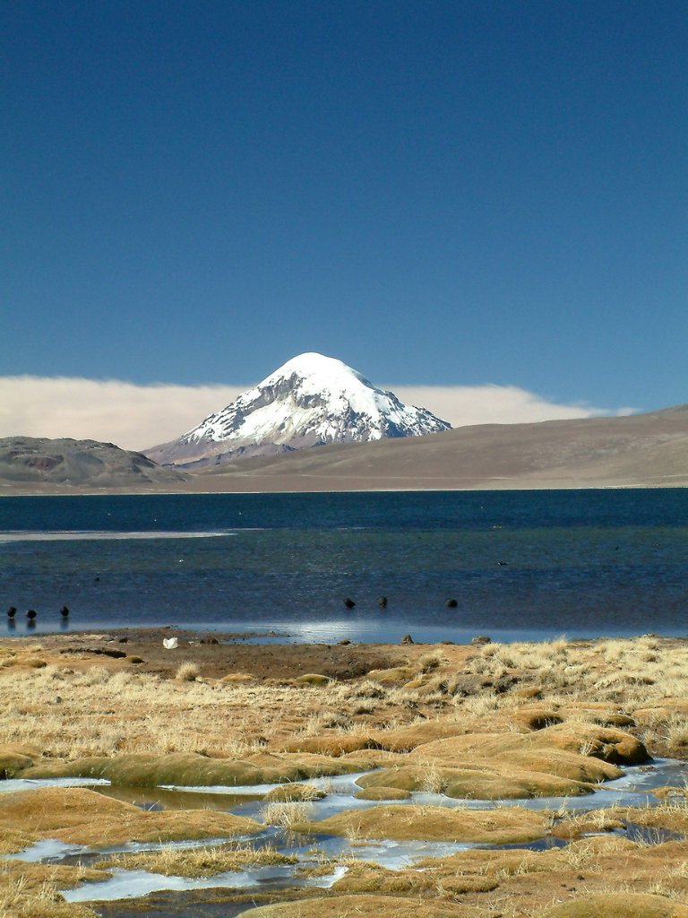 17-Nevado Sajama, at 6.542 the highest mountain of Bolivia.jpg - Nevado Sajama, at 6.542 the highest mountain of Bolivia